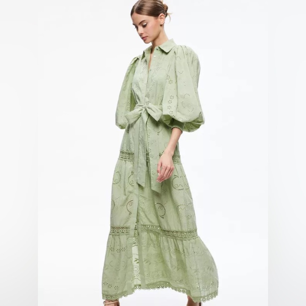 NWT alice + olivia LILLY COLLARED EYELET MAXI DRESS in green tea. Size 2 - Picture 6 of 11